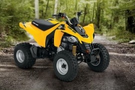 CAN-AM/ BRP DS 250 photo gallery