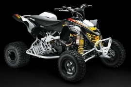 CAN-AM/ BRP DS 450 X MX EFI photo gallery