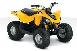 CAN-AM/ BRP DS 90 photo gallery