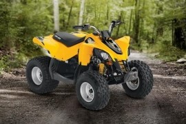 CAN-AM/ BRP DS 90 photo gallery