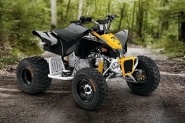 CAN-AM/ BRP DS 90 X photo gallery