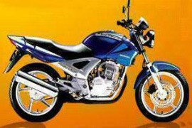 Honda CBX 250 Twister  Honda cbx, Honda, Honda bikes