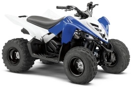 Details about   Yamaha RAPTOR 125 250 250R 50 80 90 Tusk Lithium Pro Battery & Tusk Charger 