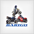 BARIGO logo