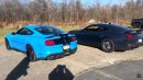 S650 Ford Mustang Dark Horse vs GT500 & Hellcat on StangMode