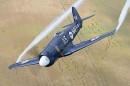 1949 Hawker Sea Fury