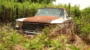 abandoned 1962 Rambler American