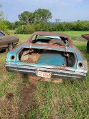 1965 Impalas