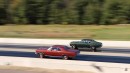 1966 Chevy Chevelle SS 396 L78 vs 1969 Chevrolet Nova SS 396 L78 on Cars and Zebras