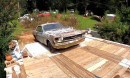 abandoned 1966 Ford Mustang