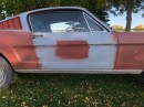 1966 Mustang Is a Blank Canvas, Needs Rescuing