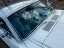 1967 Ford Mustang barn find