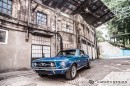 1967 Ford Mustang by Carlex Has Carbon Fiber and Alcantara Interior