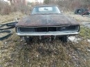 Dodge Charger project car