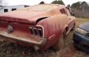 1968.5 Ford Mustang 428 Cobra Jet R-code barn find