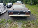 1969 Ford Mustang Barn Find Is Itching to Be Rescued, Reasonably Priced