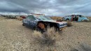 1969 Plymouth Road Runner junkyard find