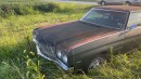 1970 Chevrolet Chevelle field find