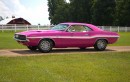 1970 Dodge Challenger R/T in Panther Pink