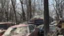 Mysterious Forest Packed with Abandoned Cars
