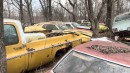 Mysterious Forest Packed with Abandoned Cars
