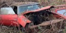1970 Pontiac GTO found in the bushes
