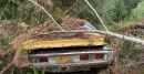 Dodge Charger found in the woods