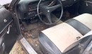 1972 Dodge Charger junkyard find