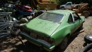 1975 AMC Hornet junkyard find