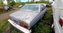 1978 Chevrolet Nova Junkyard Find
