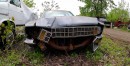 1978 Chevrolet Nova Junkyard Find