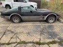 1978 Chevrolet Corvette Indy 500 pace car edition for sale on Facebook Marketplace