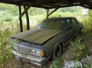 1984 Chevrolet Caprice barn find