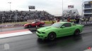 Ford Mustang vs Corvette vs Mustang on ImportRace