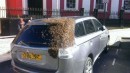 Mitsubishi Outlander swarmed by bees