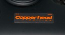 Dodge Viper Copperhead Edition Plaque