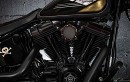 2009 Harley-Davidson Cross Bones by Melk