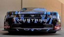 2010 Ford Mustang NASCAR Nationwide photo