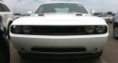 2011 Dodge Challenger photo