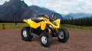 2013 Can-Am DS 70