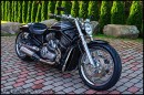 2014 Harley-Davidson V-Rod by Fredy Jaates