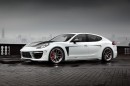 2014 Porsche Panamera TopCar Stingray GTR
