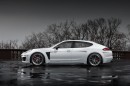 2014 Porsche Panamera TopCar Stingray GTR
