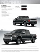 2015 Ford F-150 appearance guide