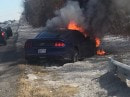 2015 Ford Mustang burns to a crisp