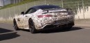 2017 Mercedes-AMG GT-R Still Testing at Nurburgring