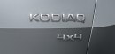 2017 Skoda Kodiaq