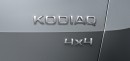 2017 Skoda Kodiaq logo
