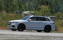 2018 Audi Q8 test mule