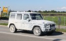 2019 Mercedes-AMG G63 Strips Some Camouflage to Look Even Angrier